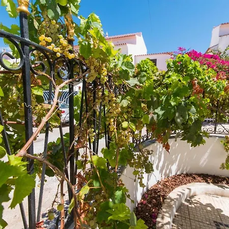 Σπίτι διακοπών Casa Da Aldeia - Porches Porches (Algarve)